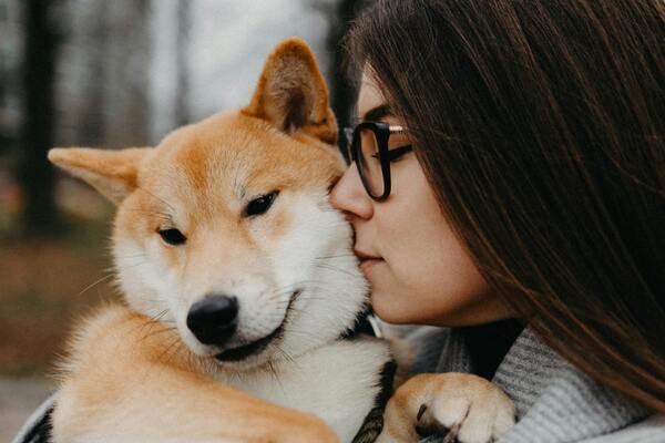 Los nombres para perros machos chulos