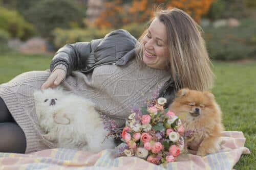 perros Pomerania y su vinculo con la aristocracia