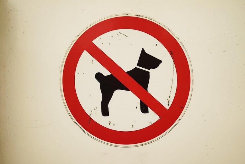 perros prohibidos en méxico