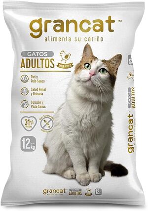 Alimento para felinos económico