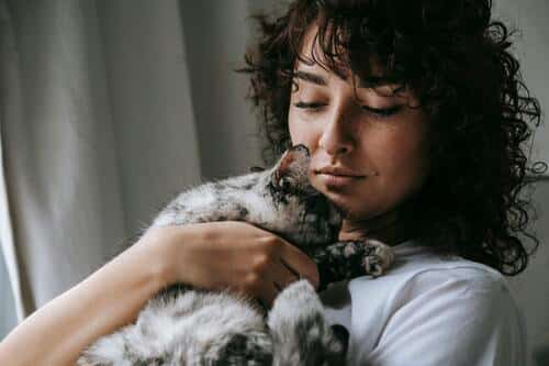 Felino ronronean con su dueña