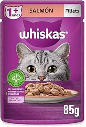 whiskas, unos de los mejores productos en comida para gatos