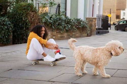 Persona jugando con su perro