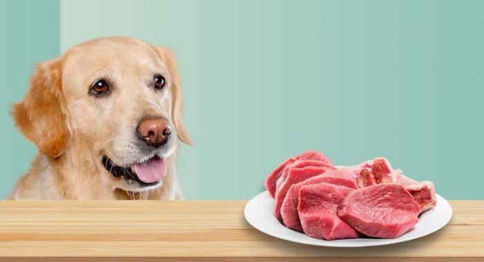 Beneficios de la carne para perros