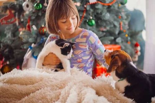 Perro y gato con una niña en navidad