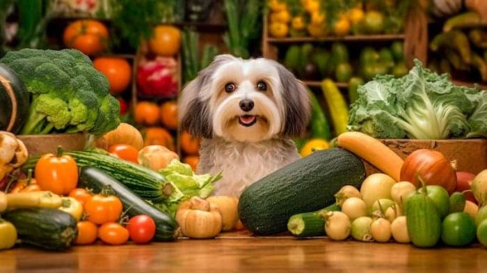 Frutas y verduras seguras para perros