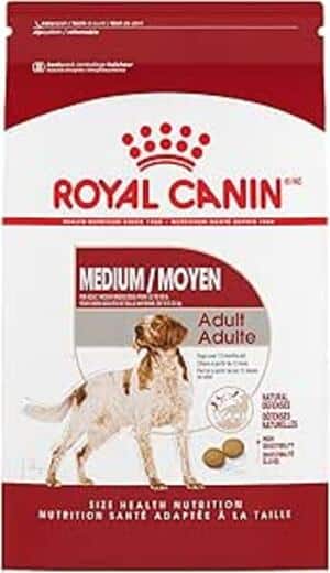 Royal Canin, una de las mejores marcas de croquetas para perro profeco 2024