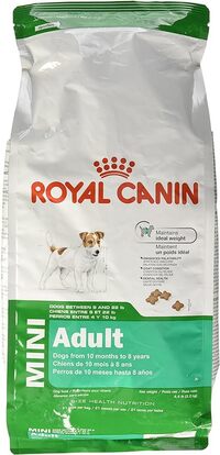 Royal Canin mini