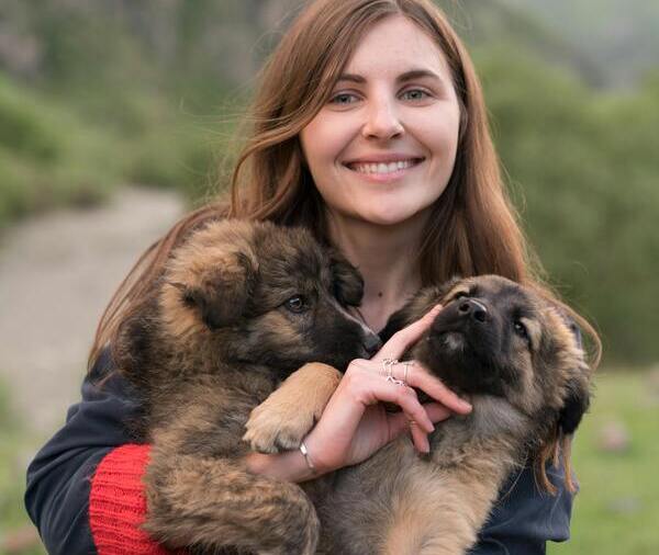 nombres tiernos y bonitos para perritas pastor belga